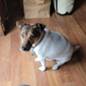 Meet your Posher, Kevin